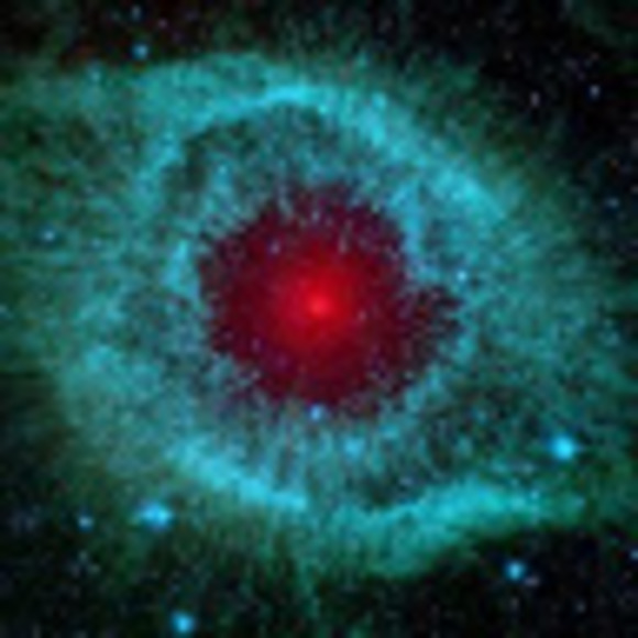 Meet your Posher, Harrison - Picture 1 of 1